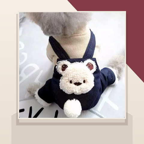 Cozy Bear Pet Outfit featured image