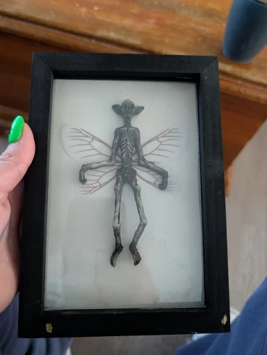 Ghost Specimen Photo Frame