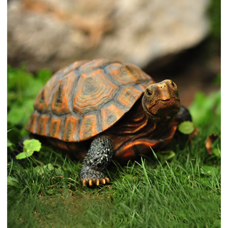 Garden Tortoise Statue
