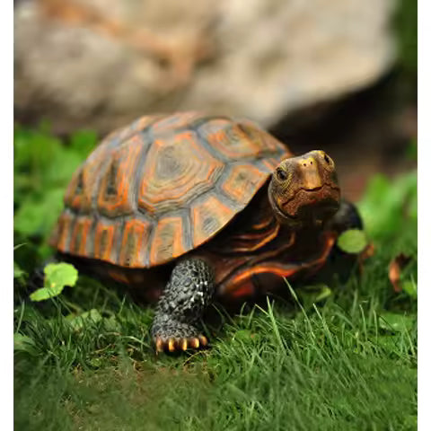 Garden Tortoise Statue