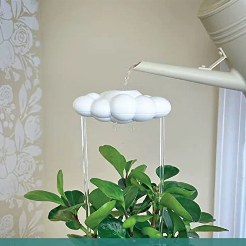 Cloud Plant Waterer