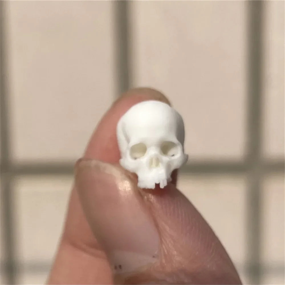 White: the miniature skull in plain white plastic, held on a fingertip