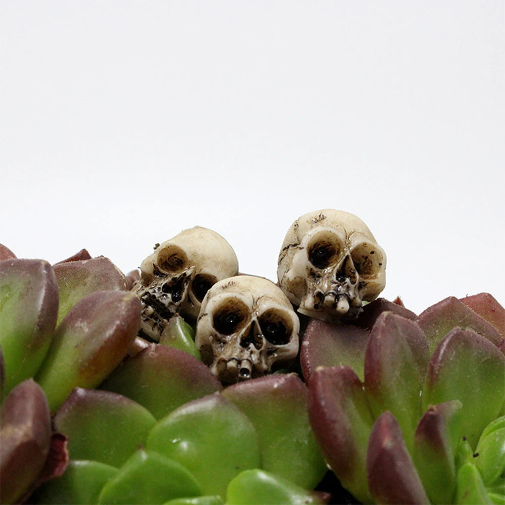 Three of the skulls tucked between succulent leaves - the plant is not included