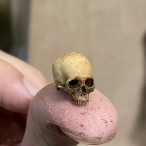 The aged bone miniature skull balanced on the tip of a finger