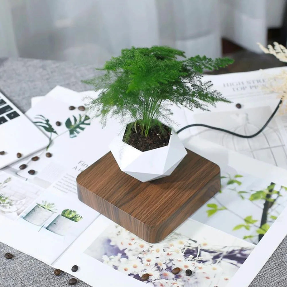 Floating Magnetic Plant Pot