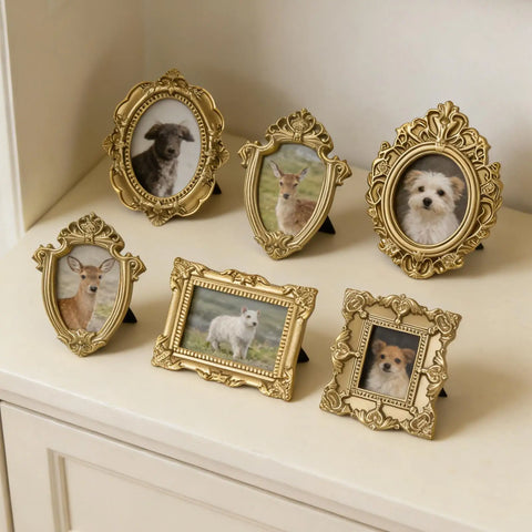 Five miniature gold frames grouped on a cream shelf, each holding a small animal photograph