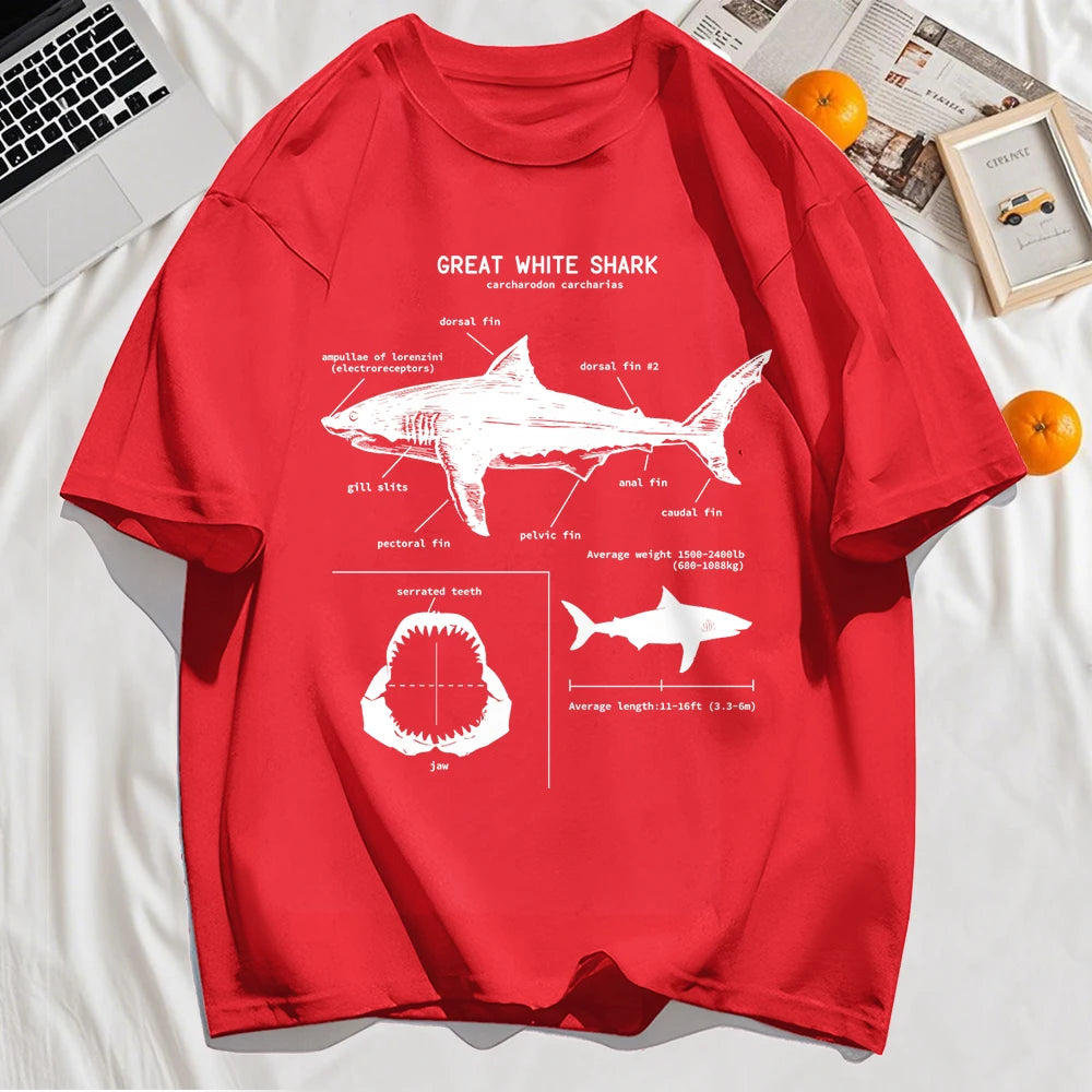 The shark anatomy t-shirt shown in its full range of colours