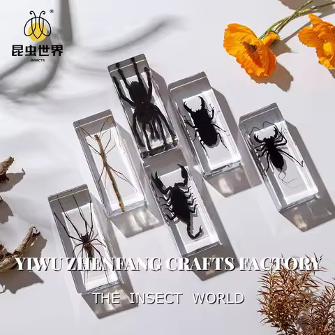 Clear Resin Insect Specimens