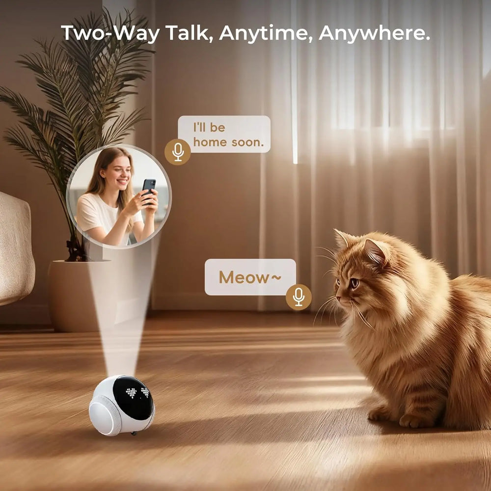 Computer-generated scene of the robot on a wooden floor facing a cat, illustrating the maker two-way talk claim