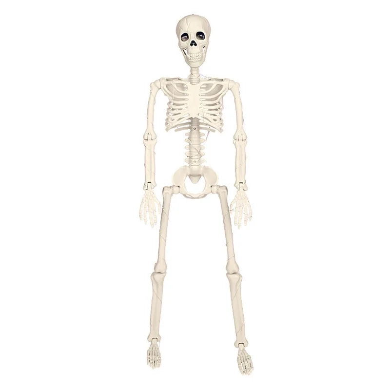 Jointed Glow Skeleton