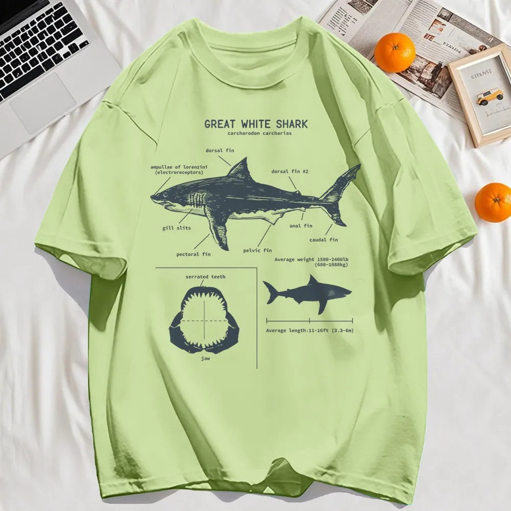 Great white shark anatomy diagram printed on a light green t-shirt