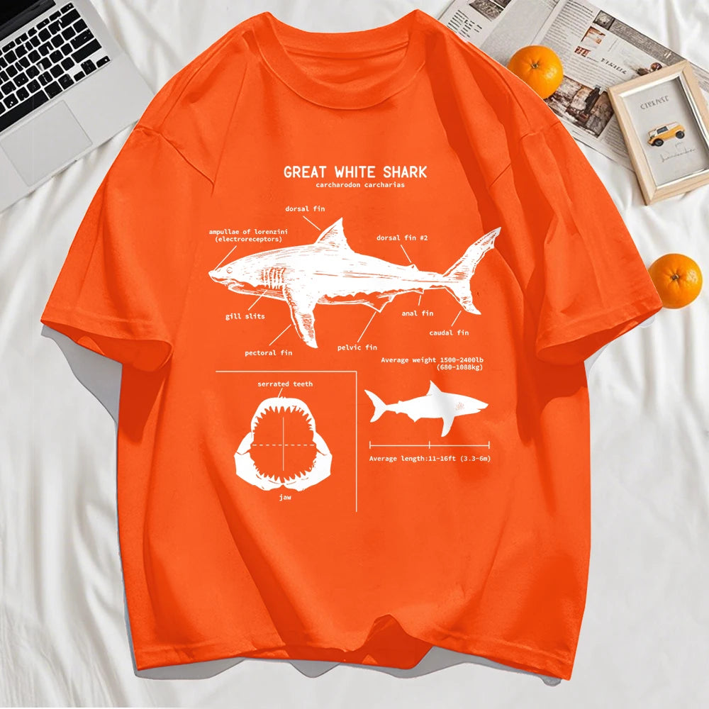 The shark anatomy t-shirt shown in its full range of colours