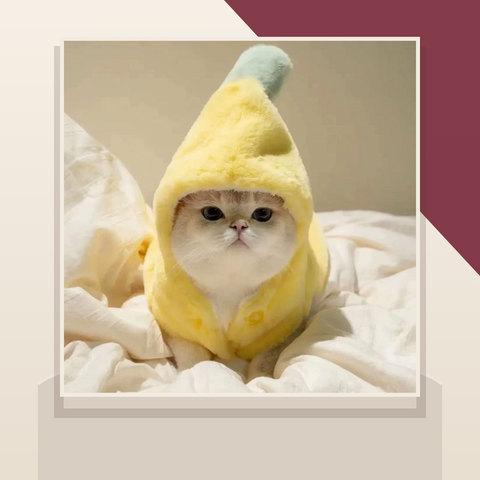Banana Pet Costume featured image