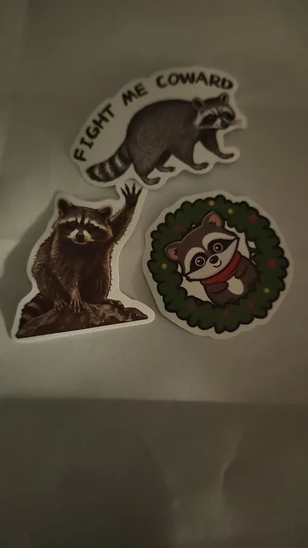 Raccoon Graffiti Stickers