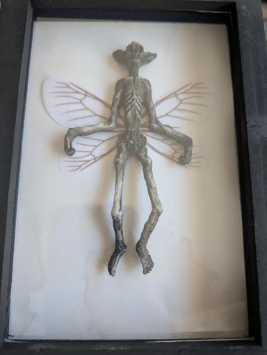 Ghost Specimen Photo Frame