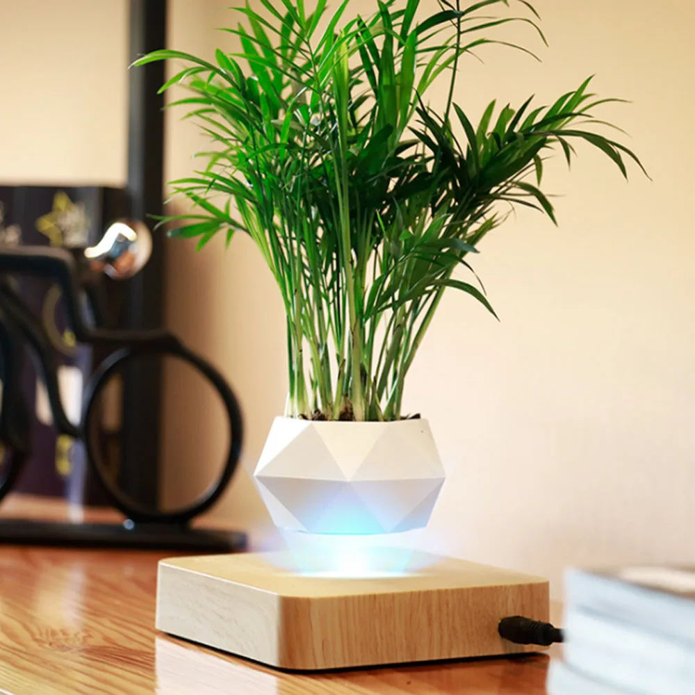 Floating Magnetic Plant Pot