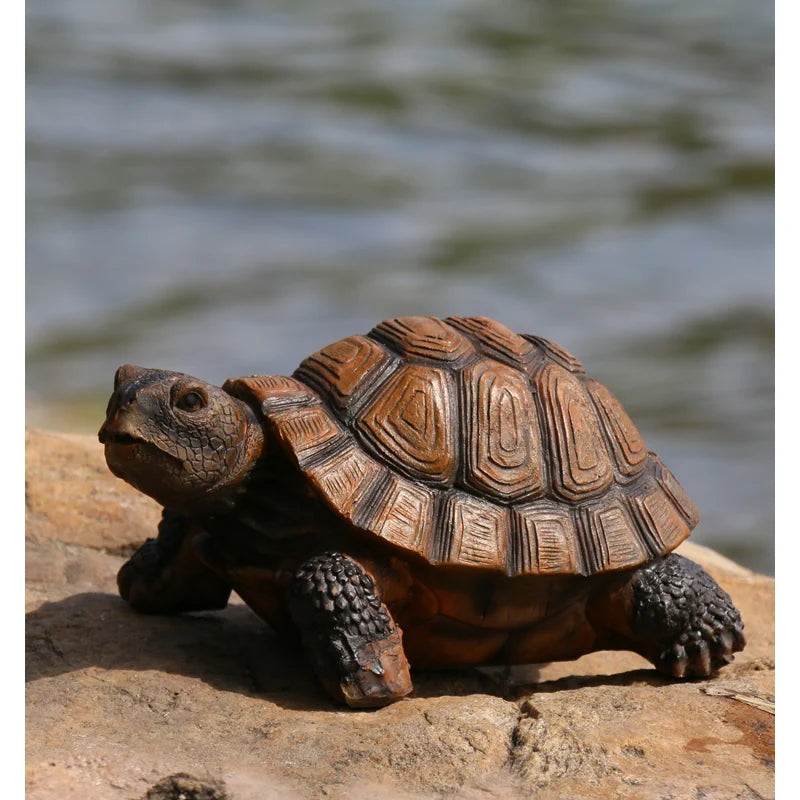 Garden Tortoise Statue