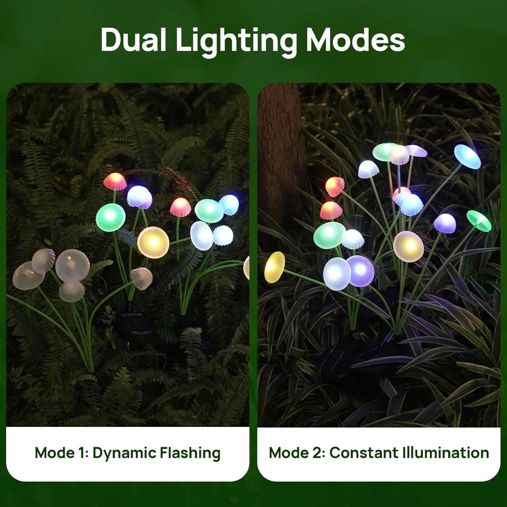 The two modes shown side by side: a flashing cycle and steady constant light