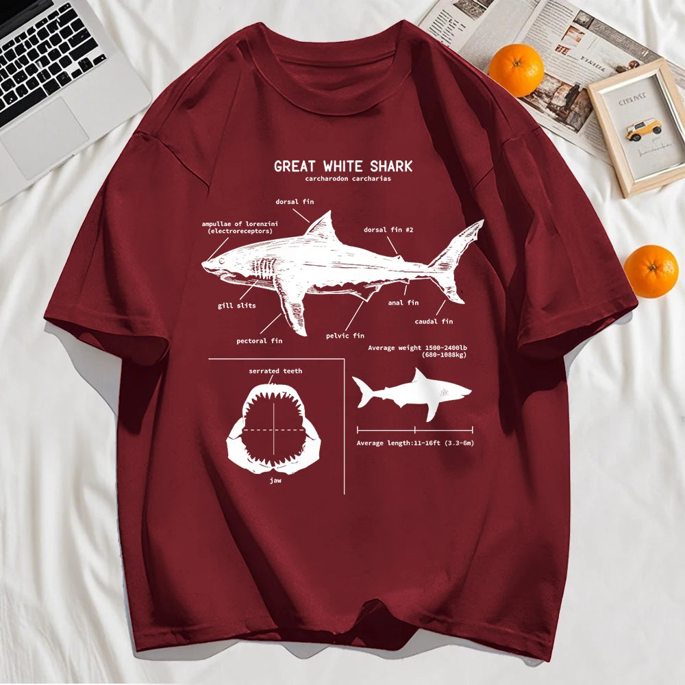 The shark anatomy t-shirt shown in its full range of colours